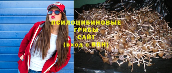 мескалин Горняк