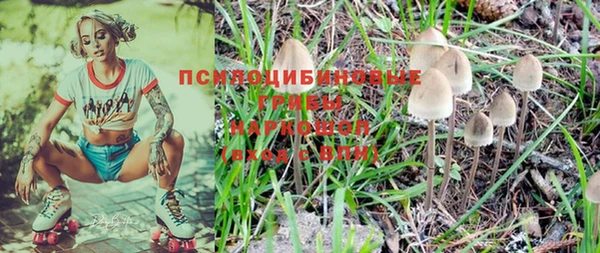 прущая мука Горно-Алтайск